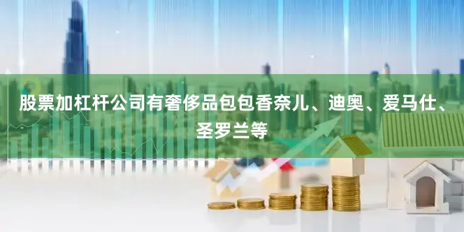 股票加杠杆公司有奢侈品包包香奈儿、迪奥、爱马仕、圣罗兰等