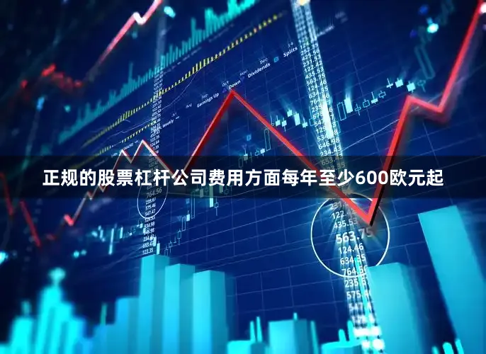 正规的股票杠杆公司费用方面每年至少600欧元起