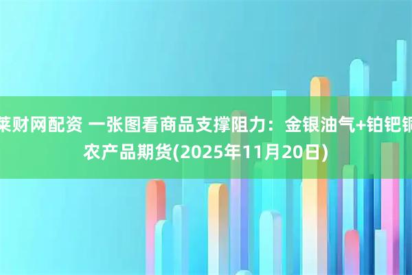 莱财网配资 一张图看商品支撑阻力：金银油气+铂钯铜农产品期货(2025年11月20日)